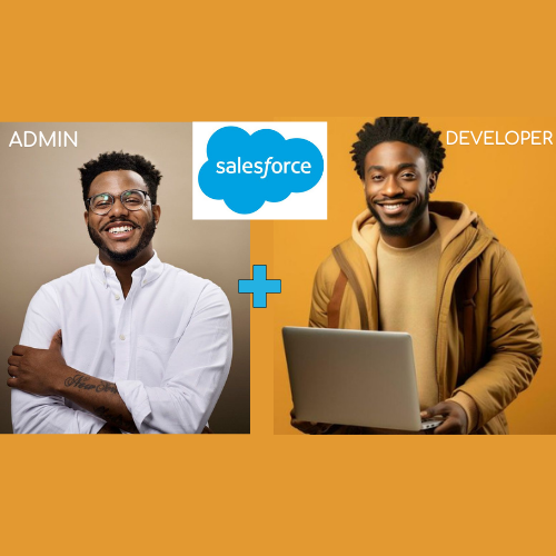 Salesforce CRM Admin + Salesforce CRM Developer