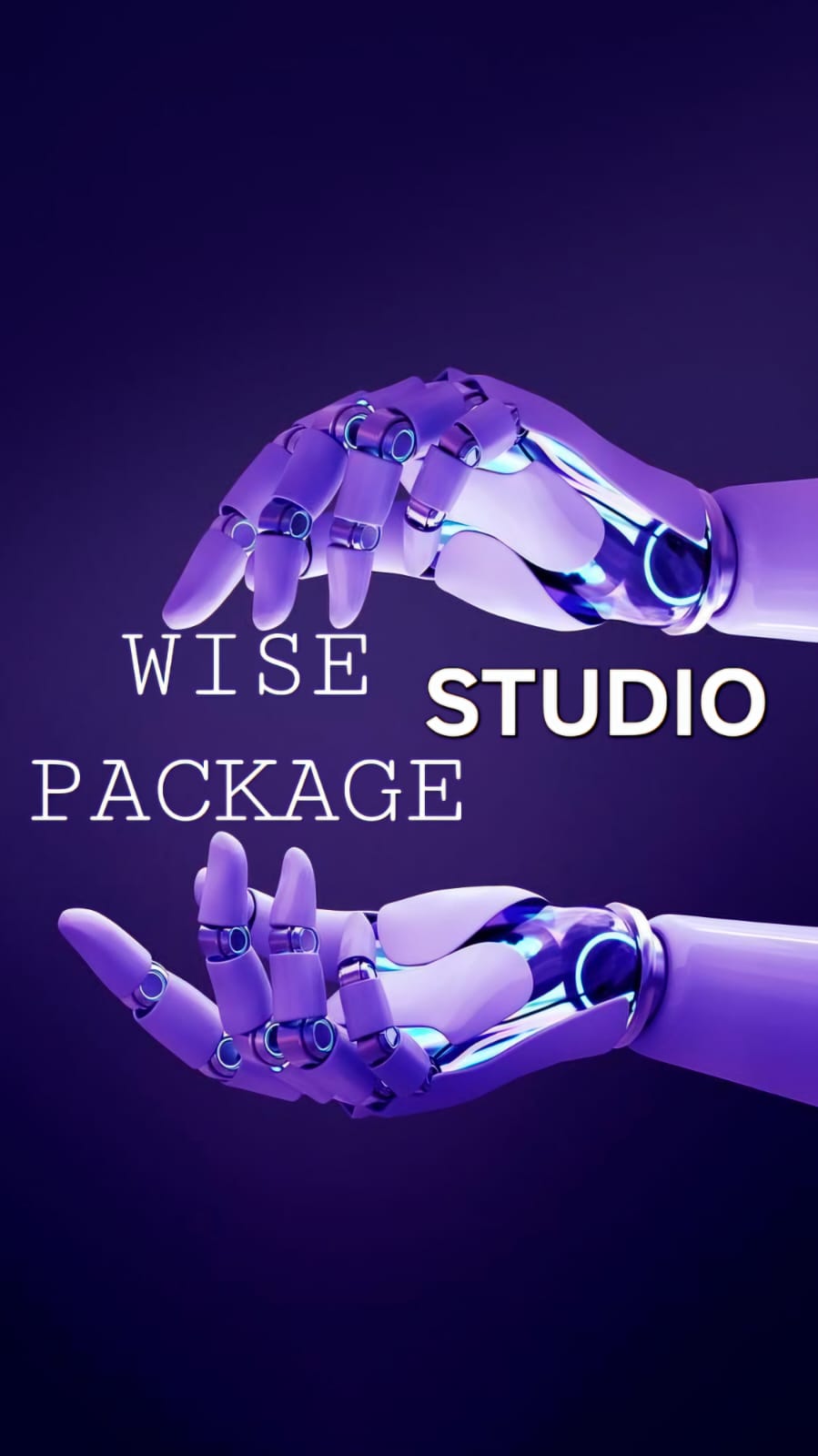 WISEPACKAGE STUDIO