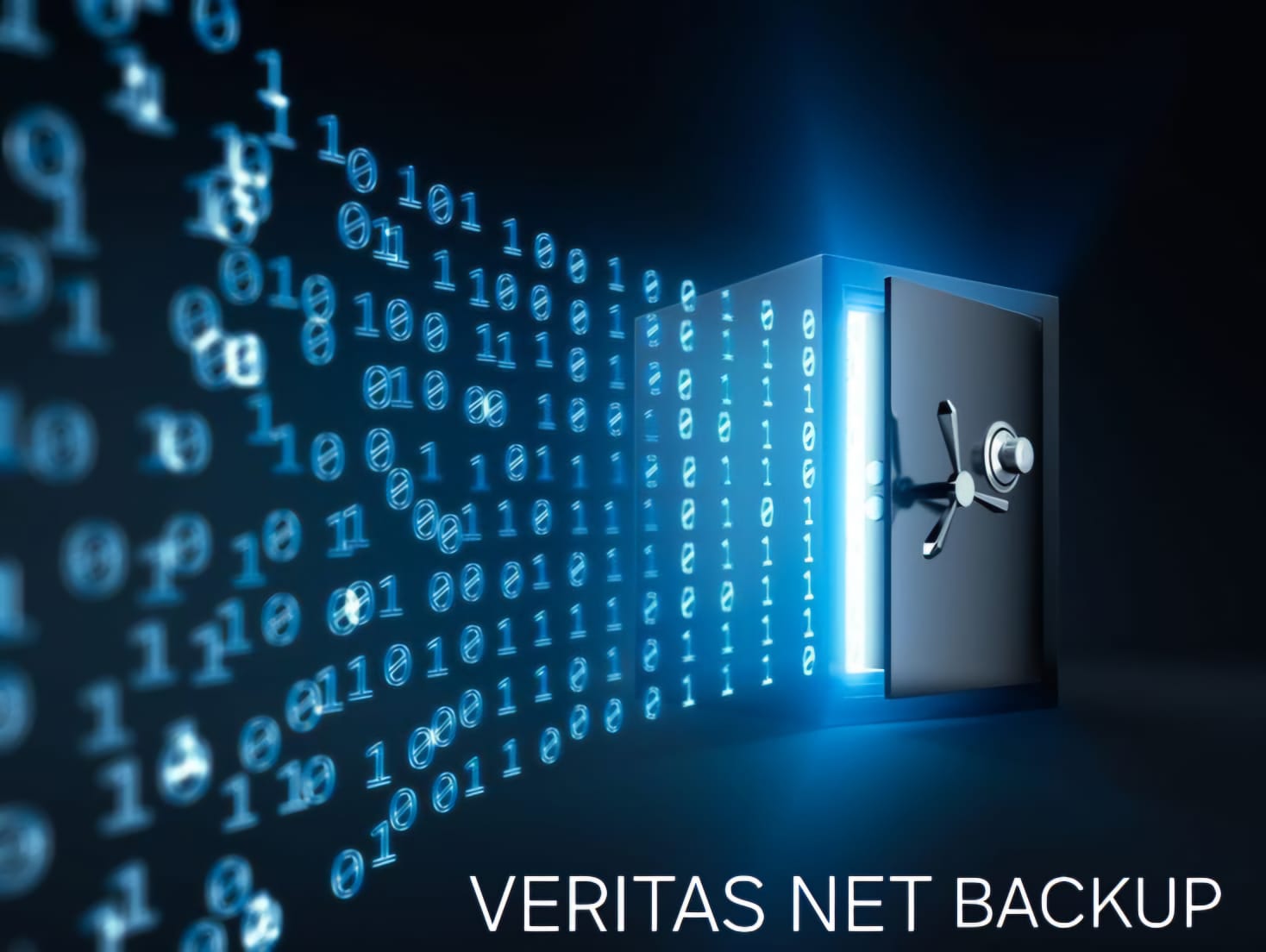 VERITAS NETBACKUP