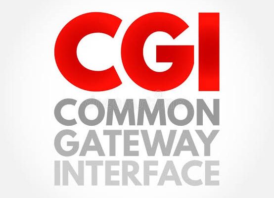 CGI SCRIPTING