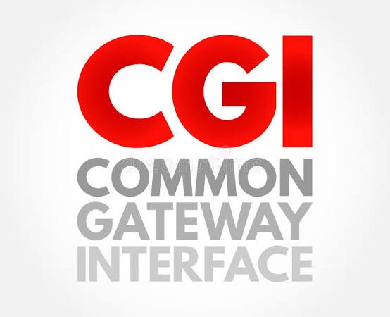 CGI SCRIPTING