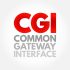 CGI SCRIPTING