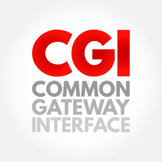 CGI SCRIPTING