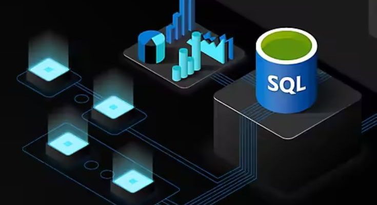 MySQL DEVELOPER