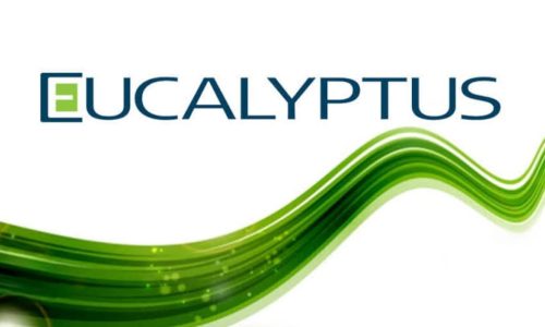 course thumbnail