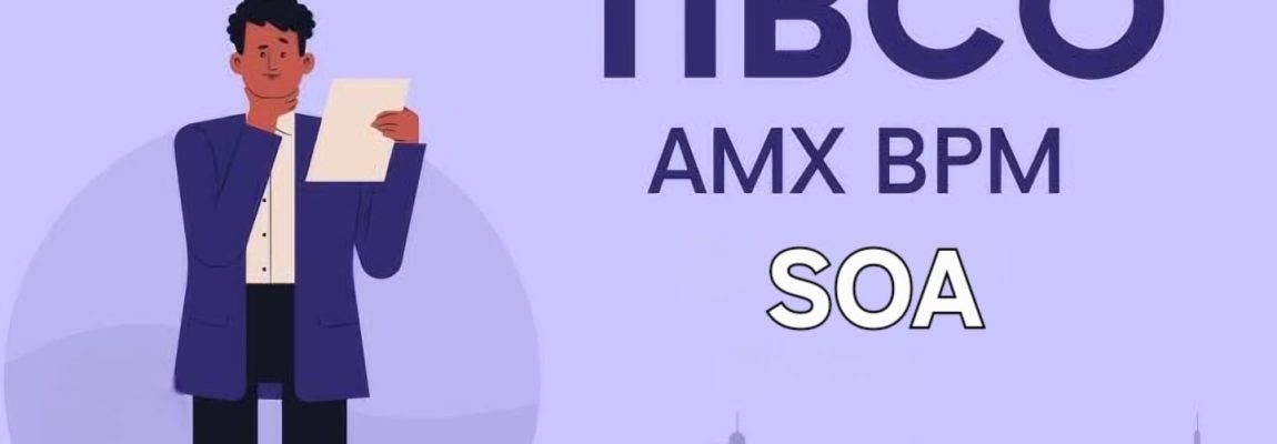 TIBCO SOA and BPM with TIBCO AMS