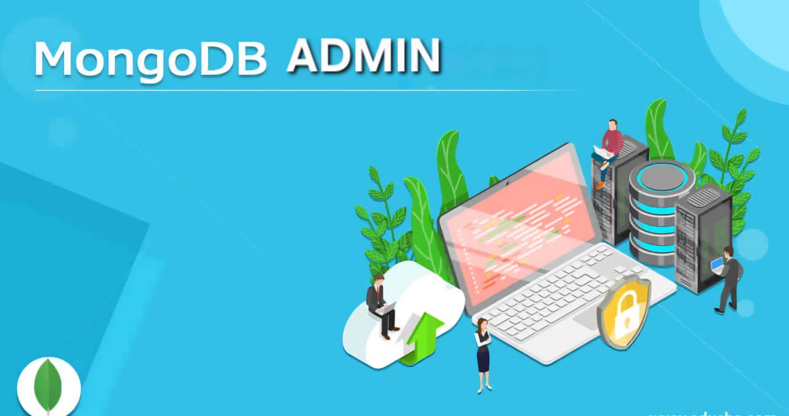 MongoDB ADMINISTRATION