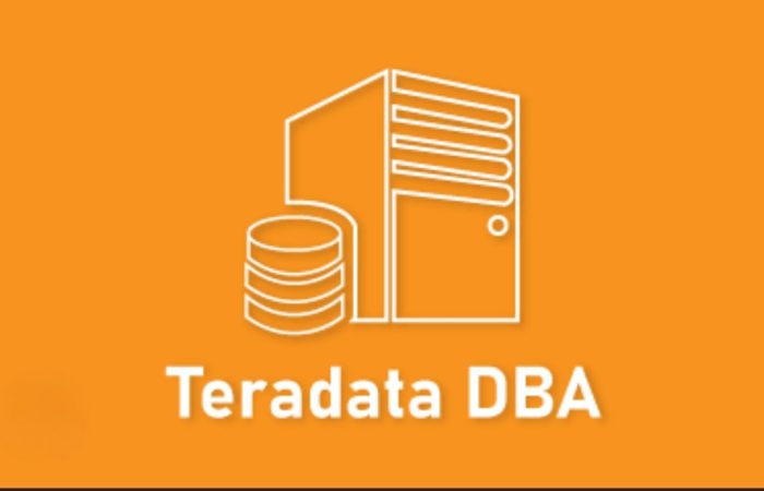 TERADATA DBA