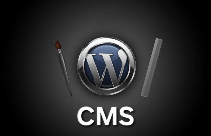 WORDPRESS CMS