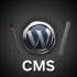 WORDPRESS CMS