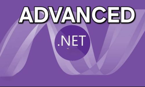 ADVANCED . NET