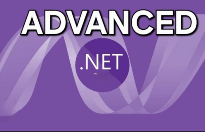 ADVANCED .NET