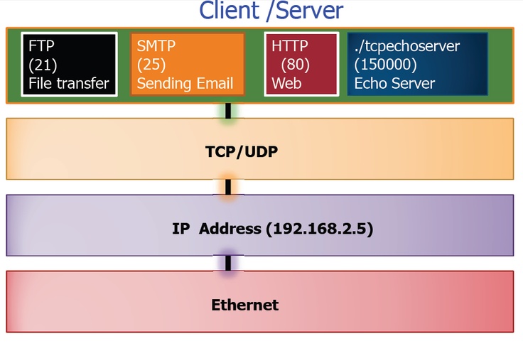 SOCKET PROGRAMMING